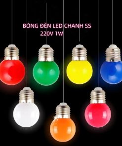 BÓNG ĐÈN LED CHANH SS1010