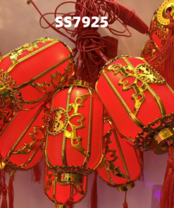 DÂY LỒNG ĐÈN LED TRANG TRÍ TẾT SS7925